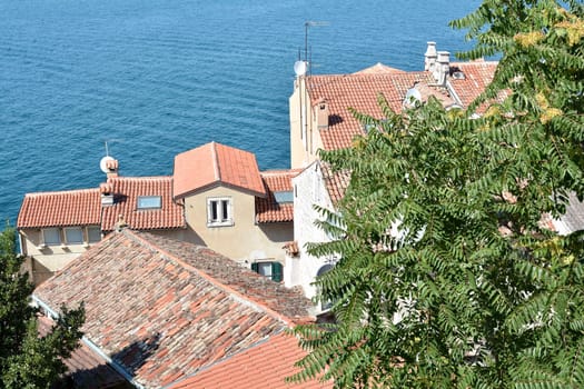 Houses in the port city of Rovinj in Croatia