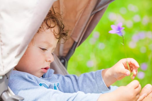Portrait of 1 year old baby boy playing with a flower in the stroller.