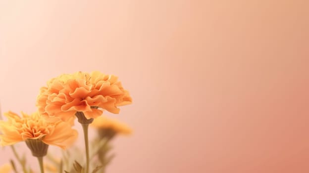 Marigolds on a pastel peach background with copy space. Created using AI Generated technology and image editing software.