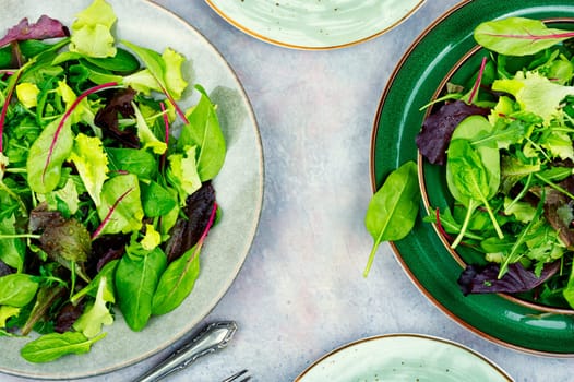 Fresh herb salad of spring greens on a plate. Leaves mix salad, diet vegan.