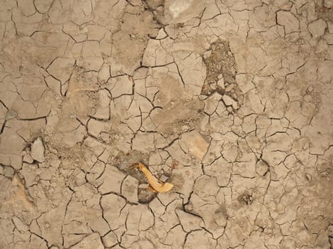 Dried soil texture, cracked sand backdrop, global warming, environmental protection concept, above average heat