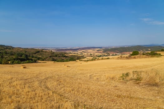 view of a crop field in the north of Spain