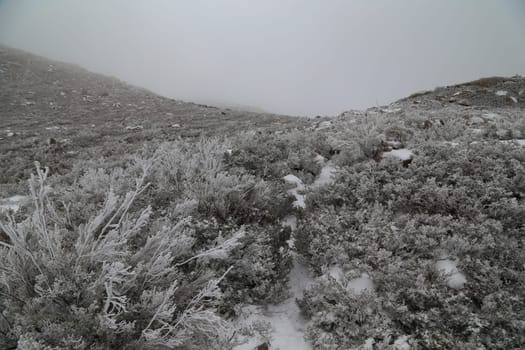 Winter landscape with snow in mountains of Serra do Geres natural park, Portugal