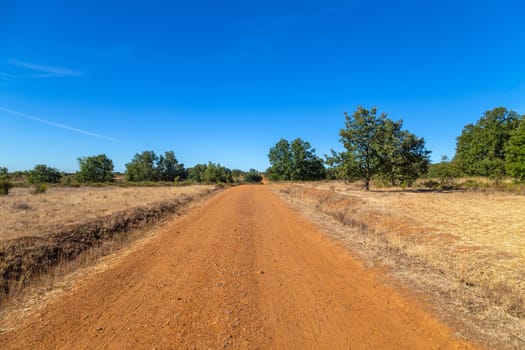 Rural road in the Spanish countryside among agricultural fields, after wheat harvest season. Navarra, Spain
