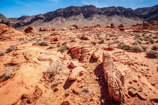 Desert landscape in Valley of Fire State Park in Nevada