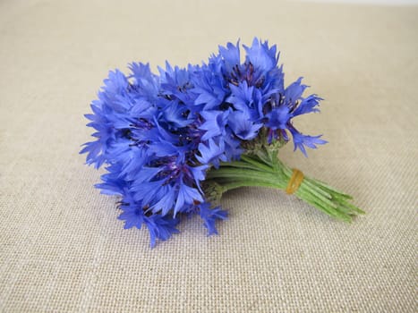 cornflower, blue cornflower, flower, flower bouquet, bouquet, posy, blue, Centaurea cyanus