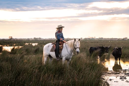 Cowboy is carrying a long cattle prod near a herd of bulls, Camargue, France