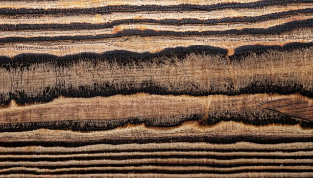 texture of dry wood plane tree without bark