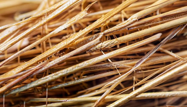 medium close up photo of pile of fallen dry pine needles on the ground