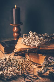 Dry flowers bouquets with old vintage diary and books, nostalgic vintage background