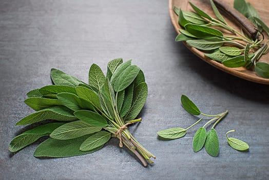 Sage leaves in plate. Freshly picked sage leaves from the home garden. Medicinal herbs.