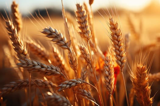 Wheat field. Ears of golden wheat closeup. Harvest concept. Generative AI
