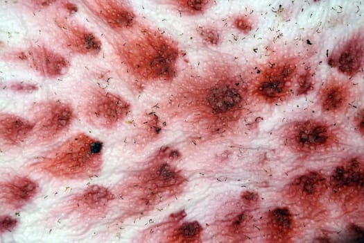 Brombeeren haben ein abstraktes Muster auf einem Küchenkrepp hinterlassen