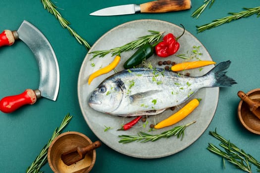 Uncooked dorado fish with herbs. Copy space