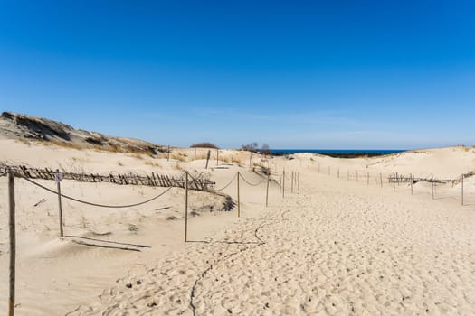 The Gray Dunes, or the Dead Dunes is sandy hills with a bit of green specks at the Lithuanian side of the Curonian Spit.