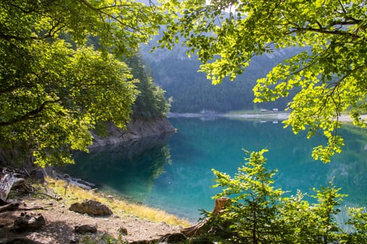 Gosau Lake in the Austrian Alps of the Dachstein region (Styria in Austria)
