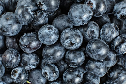 Blueberries - close up detail from above.