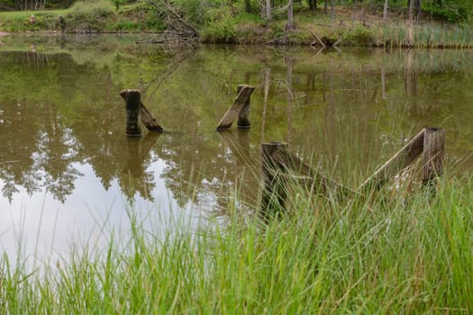Shore at a small lake with wooden posts in the water and reflection of trees in the water