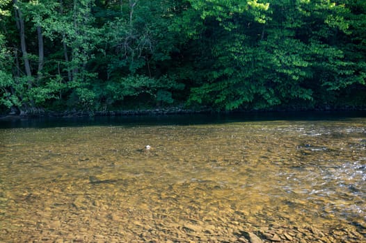 The Eder - A river in Germany in a green landscape with low water level