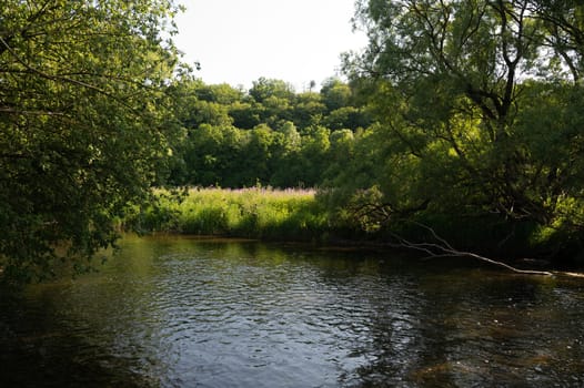 The Eder - A river in Germany in a green landscape