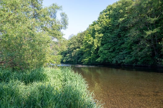 The Eder - A river in Germany in a green landscape