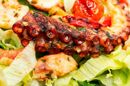 Mix salad of vegetables, herbs and octopus tentacles