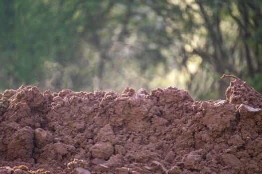 Fresh steaming earth soil in green nature