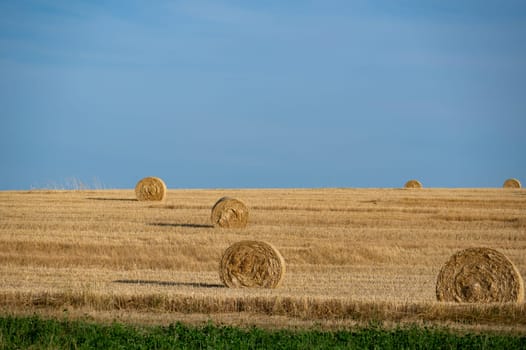 Straw bales on harvested field with horizon and blue sky