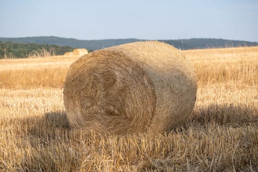 A Straw bales on a stubble field with sky