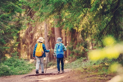 Two boys with backpacks hiking together in the wilderness forest. Concept of the tourism and family vacation.