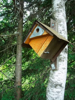 View of a bird house on a birch at the edge of the forest in Bavaria.