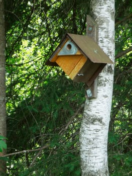 View of a bird house on a birch at the edge of the forest in Bavaria.