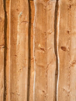 Format-filling view of a sheet piling in vertical orientation and lateral sunlight.