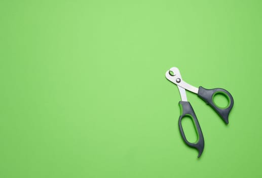 Scissors for trimming the claws of animals on a green background, top view