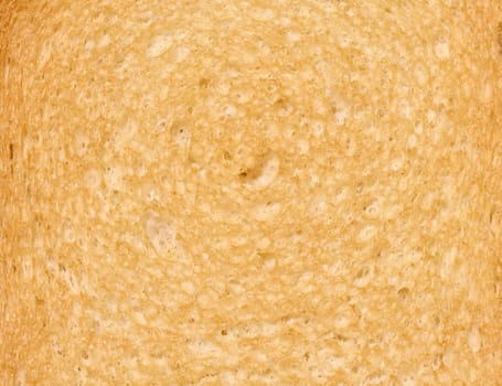 Texture of white slice of toasted bread, close up