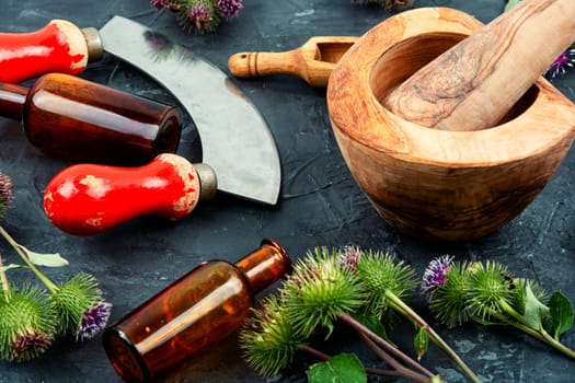 Burdock plant with flowers, herbal medicine. Top view
