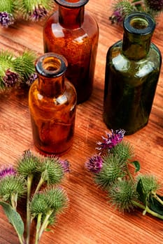 Burdock plant with flowers, herbal medicine. Top view