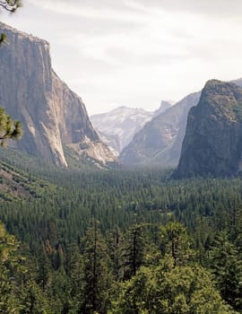 Yosemite Valley in Yosemite National Park,  California