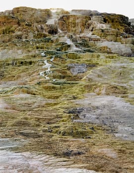 Jupiter Terrace in Mammoth Hot Springs, Yellowstone National Park, Wyoming