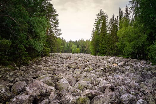The stone river are the remains of volcanic lava flows, once thrown down by ancient volcanoes, one of the most amazing natural phenomena in the mountains of the Urals.
