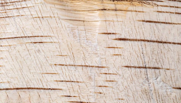 Wooden texture - wood grain
