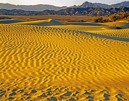 Sand Dunes in  Death Valley, California