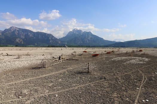 Tree roots on the bottom of a dried up lake. The dried up lake Forggensee in Allgäu