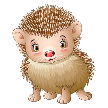Cute baby hedgehog