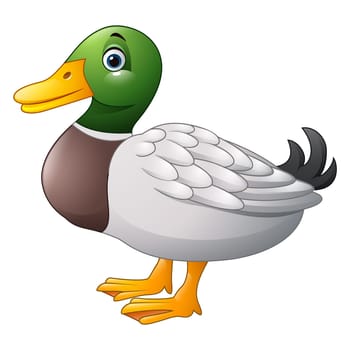Cute cartoon duck