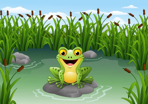 Cartoon frog sitting on the rock at pond