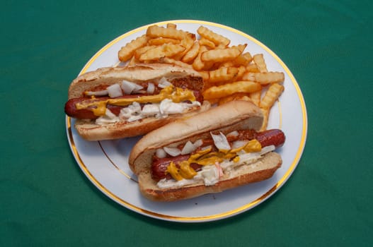 Traditional all beef or pork hot dog with french fries