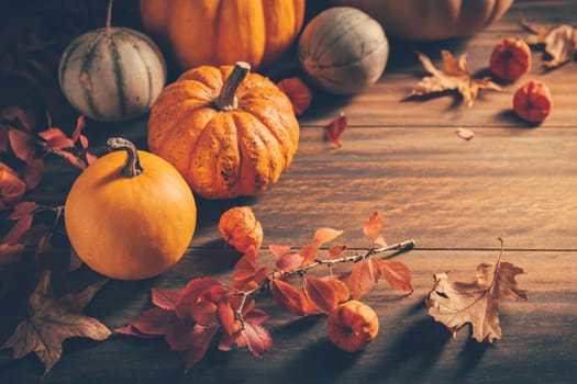 Thanksgiving and autumn background decoration with different pumpkins and dried leaves on wooden background
