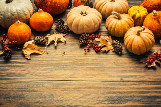 Thanksgiving and autumn background decoration with different pumpkins and dried leaves on wooden background