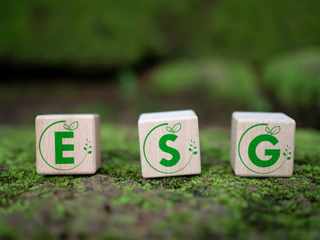 ESG concept for environment, society and governance in sustainable. business responsible environmental.